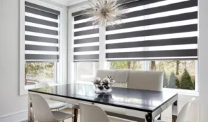zebra blinds